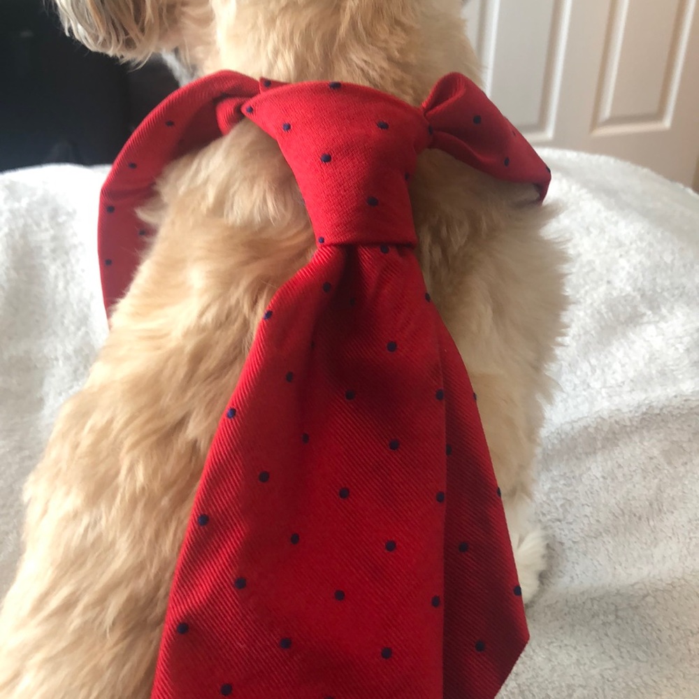 Brooks Brothers Extra Long tie